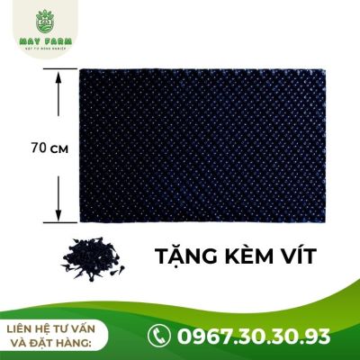 Bầu Ươm V7 Bán Lẻ Từ 1m Giá Tốt, Nhiều Kích Thước - Ảnh 7
