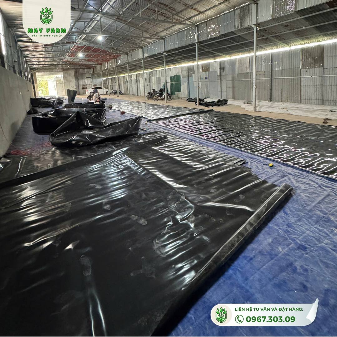 Bạt HDPE 0,3mm Đủ Kích Thước, Chất Lượng Cao - Ảnh 7