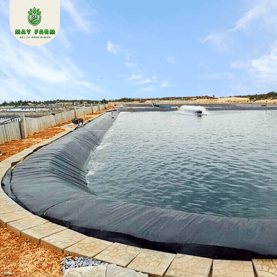Bạt Lót Hồ Chứa Nước - Ảnh 6
