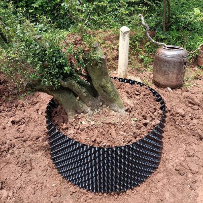 Bầu ươm cây V6 chất lượng, đủ loại ( Cuộn 50m) - Ảnh 2
