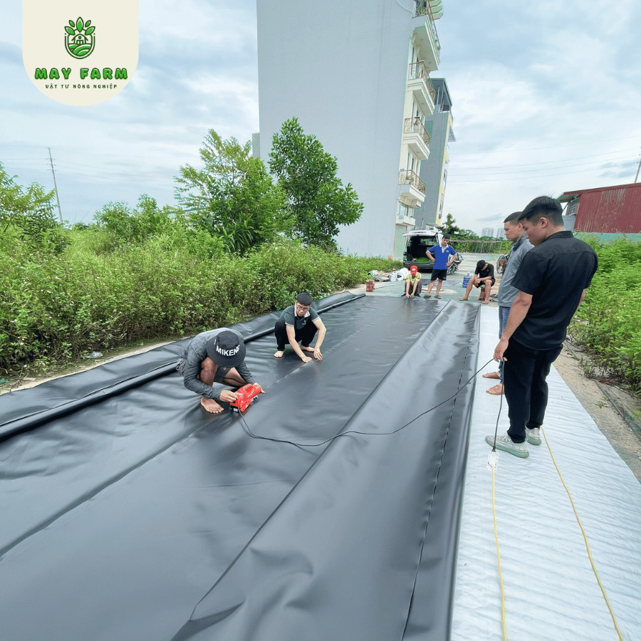 Bạt lót hồ cá HDPE  - Ảnh 5