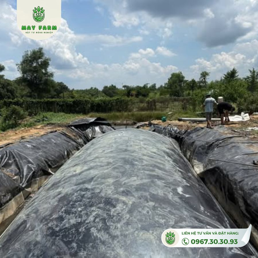 Túi Biogas hdpe 8 khối dày 1mm xử lý chất thải gà,lợn, vịt, Gia công theo yêu cầu - Ảnh 3