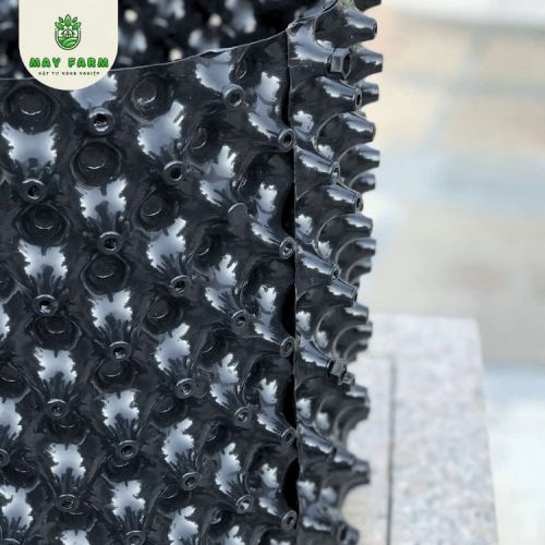 Bầu ươm mai v6 50cm - giải pháp cho vườn mai tươi tốt - Ảnh 2