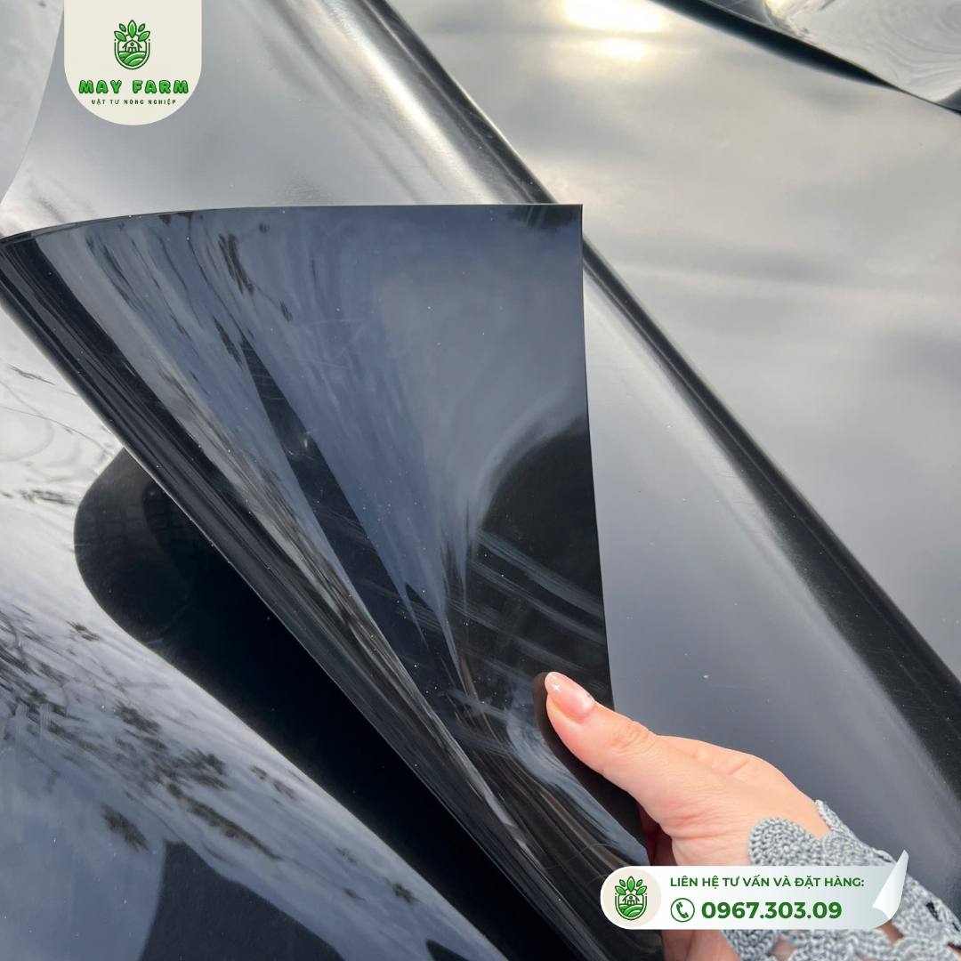 Bạt HDPE 0,3mm Đủ Kích Thước, Chất Lượng Cao - Ảnh 4
