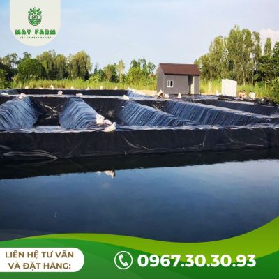 Màng Chống Thấm HDPE dày 0,75mm Lẻ Từ 1m, Giá Rẻ, Siêu Bền - Ảnh 3