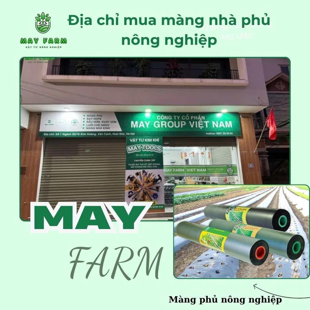 Địa chỉ mua màng phủ nông nghiệp uy tín, giá rẻ