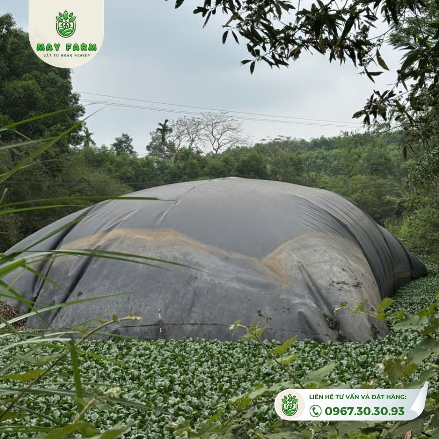 Túi Biogas hdpe 15 khối dày 1mm xử lý chất thải chăn nuôi  - Ảnh 4