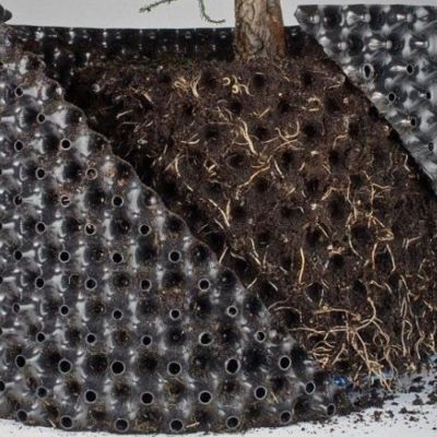 Bầu Ươm V6 Bán Lẻ Từ 1m Giá Tốt, Nhiều Kích Thước - Ảnh 2