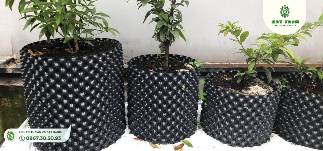 Lợi ích của việc sử dụng bầu ươm cây V7