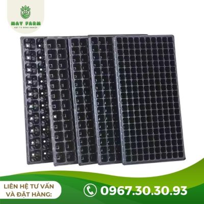 Khay ươm hạt giống 200 lỗ - hướng dẫn sử dụng hiệu quả - Ảnh 6