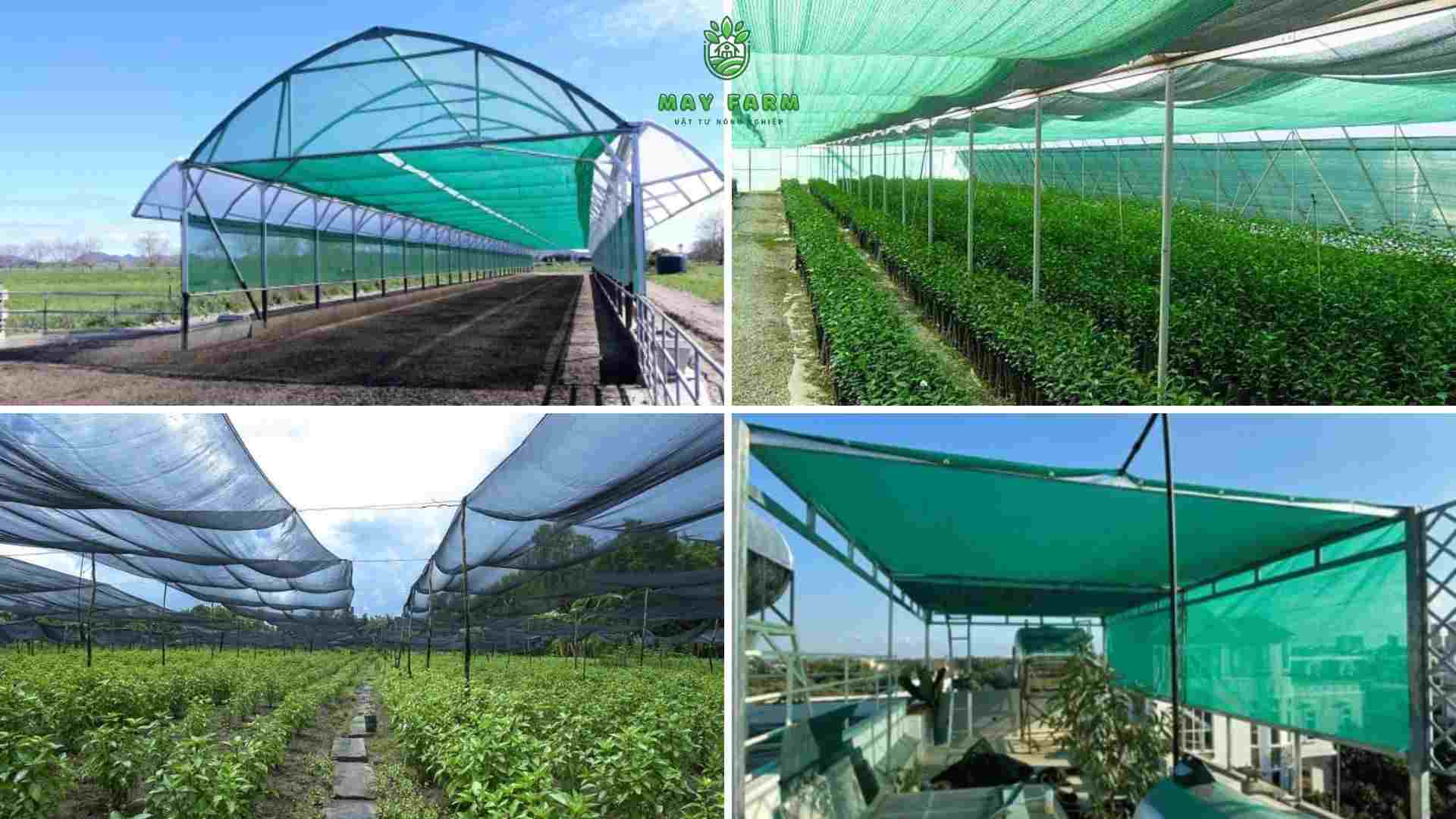 Đặc điểm nổi bật của lưới che nắng