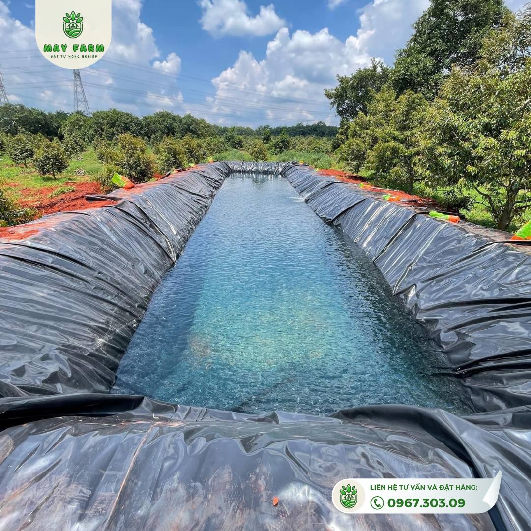 Bạt HDPE 0,3mm Đủ Kích Thước, Chất Lượng Cao - Ảnh 6