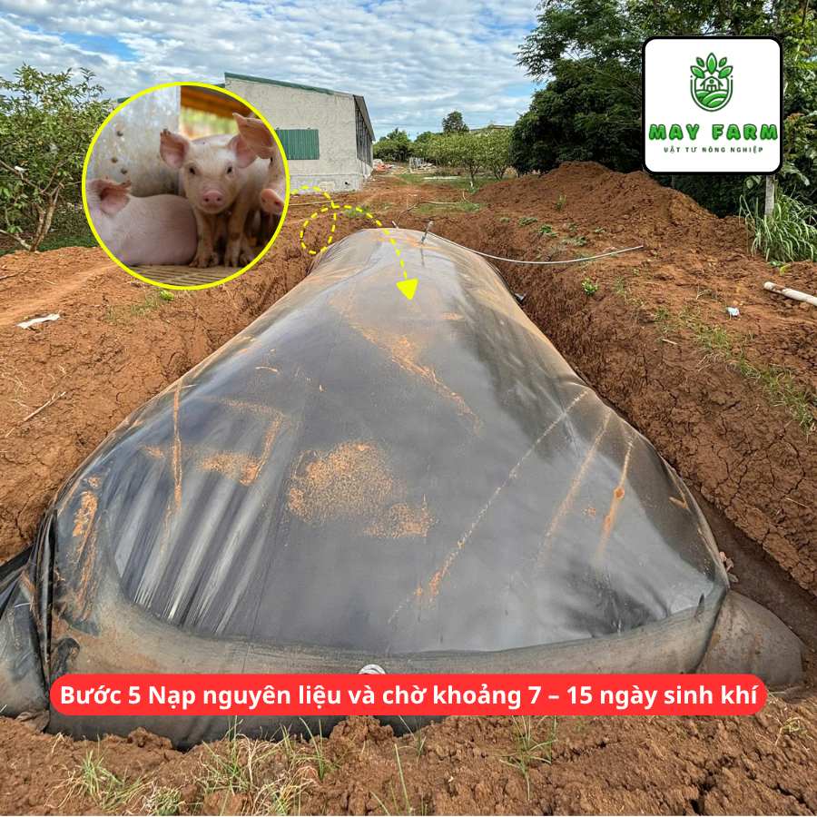 b5- Túi Biogas HDPE 15 Khối Dày 1mm