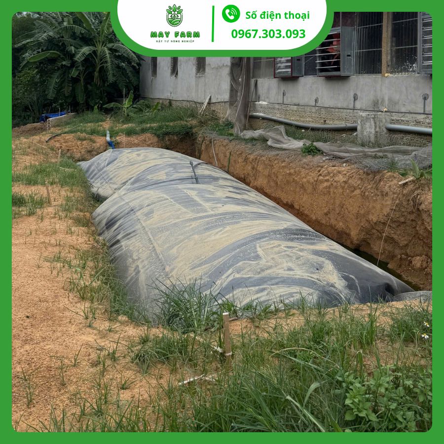 Túi Biogas hdpe 15 khối dày 1mm xử lý chất thải chăn nuôi 