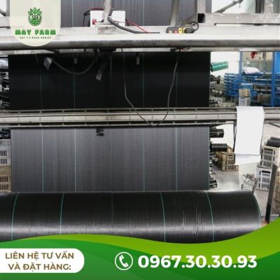 Bạt phủ chống cỏ 80g lẻ từ 1m nhiều kích thước, độ bền cao - Ảnh 5