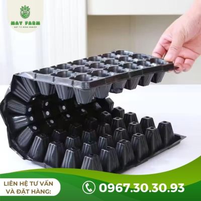 Khay ươm hạt giống 200 lỗ - hướng dẫn sử dụng hiệu quả - Ảnh 5