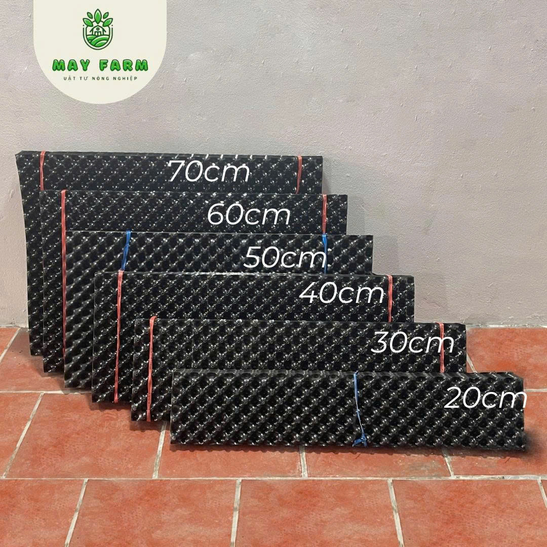 Bầu Ươm V7 20cm giá tốt, nhựa PET dẻo - Ảnh 3