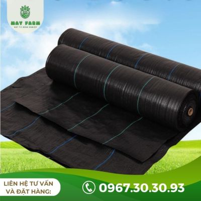 Bạt phủ chống cỏ 80g 90g hàng nhập Đài Loan (Đủ kích thước) - Ảnh 4