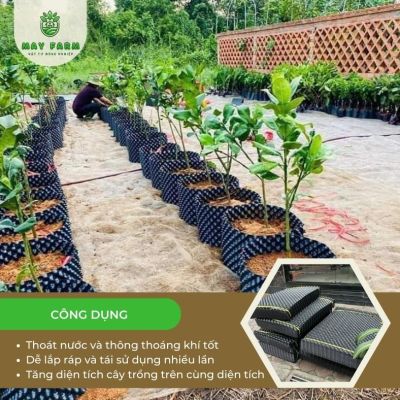 Bầu ươm cây V6 chất lượng, đủ loại ( Cuộn 50m) - Ảnh 3