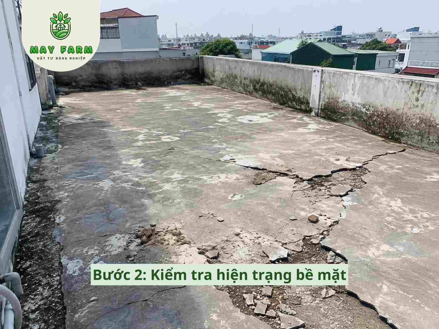 Dự án 1