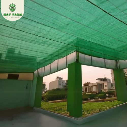 Lưới Xanh Che Nắng Thái Lan - Ảnh 6
