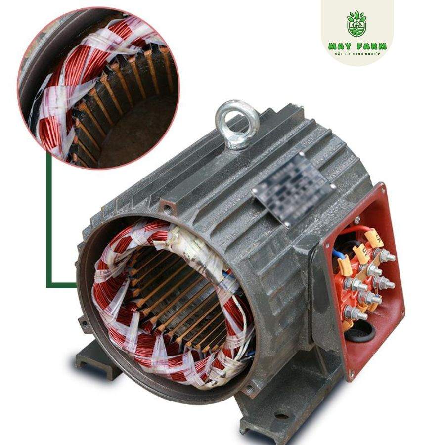 Máy ép cám viên KL-125 cho gia súc, gia cầm - Ảnh 3