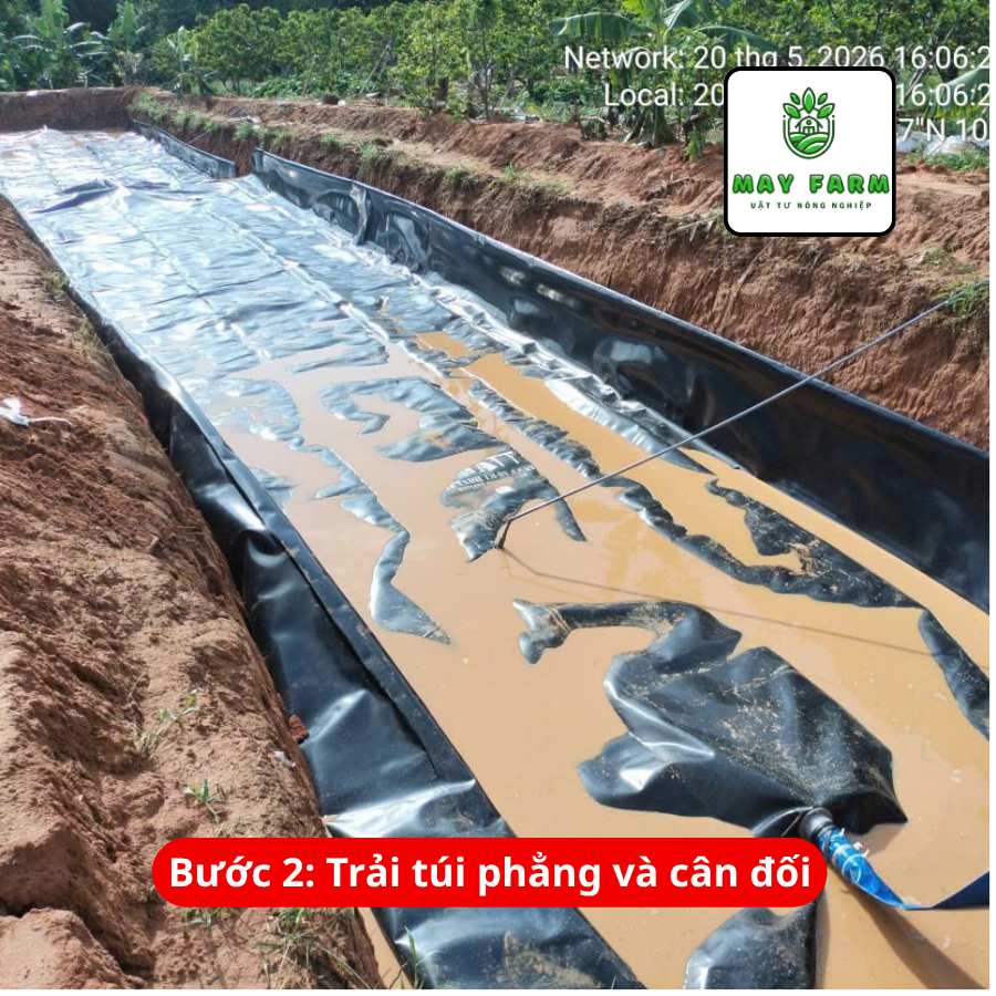 lắp đặt Túi Biogas HDPE 12 khối - Trải Túi