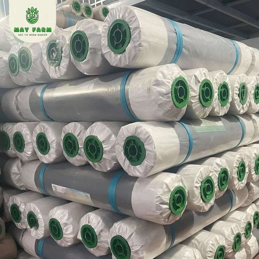 Màng phủ nông nghiệp đục lỗ sẵn  - Ảnh 3