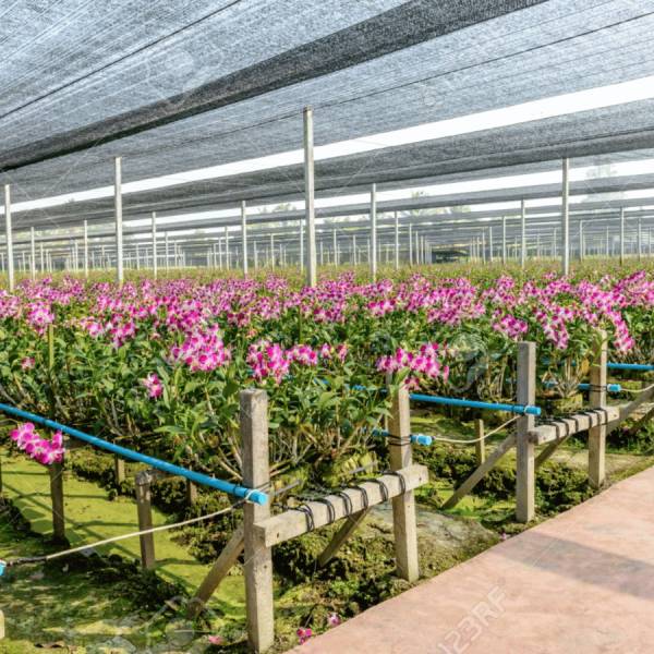 Lưới Che Nắng Sợi Tròn Giá Tốt - Đảm Bảo Chất Lượng - Ảnh 2