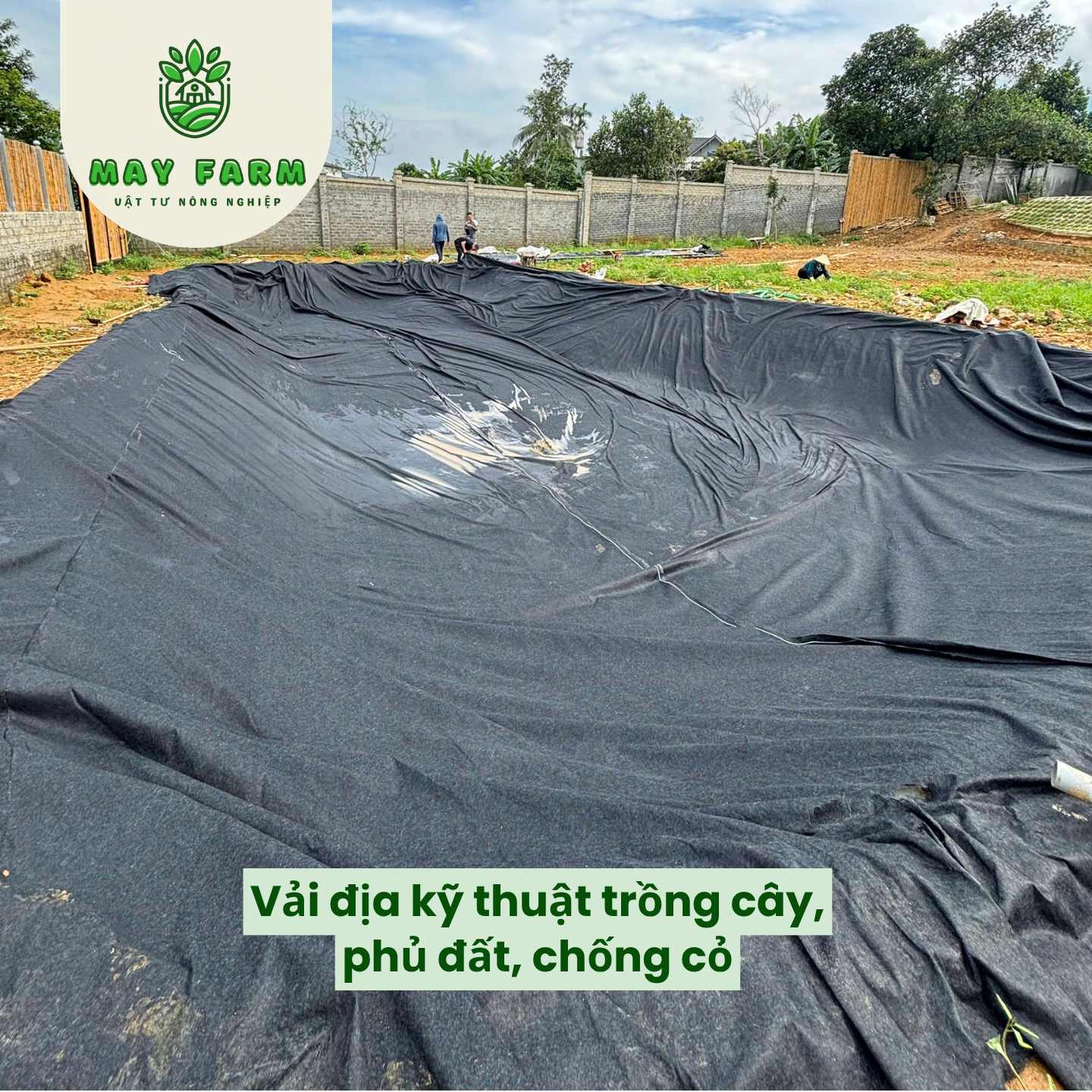 trồng cây, phủ đất... - Vải địa kỹ thuật lót hồ màu xám 