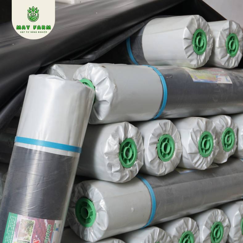 Màng phủ nông nghiệp 25 Mic - Ảnh 3