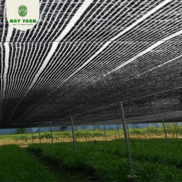 Lưới che nắng dệt phẳng Thái Lan 60% May Farm - Ảnh 4