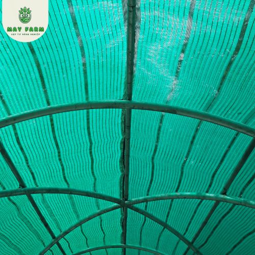Lưới Xanh Che Nắng Thái Lan - Ảnh 4