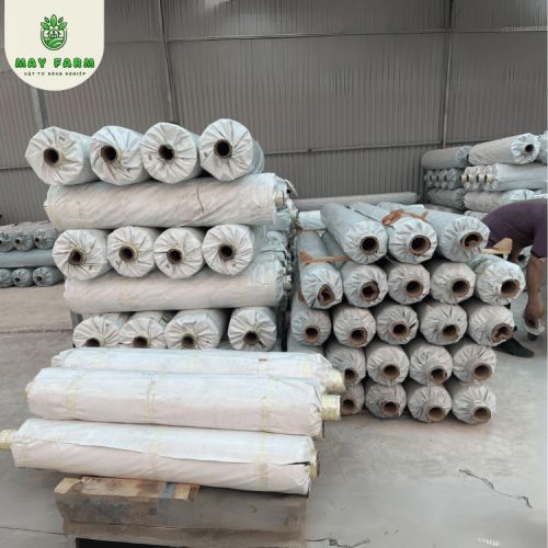 Màng nhà kính Israel chính hãng, đa dạng kích thước  - Ảnh 8
