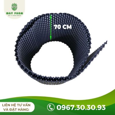 Bầu Ươm V7 Bán Lẻ Từ 1m Giá Tốt, Nhiều Kích Thước - Ảnh 5