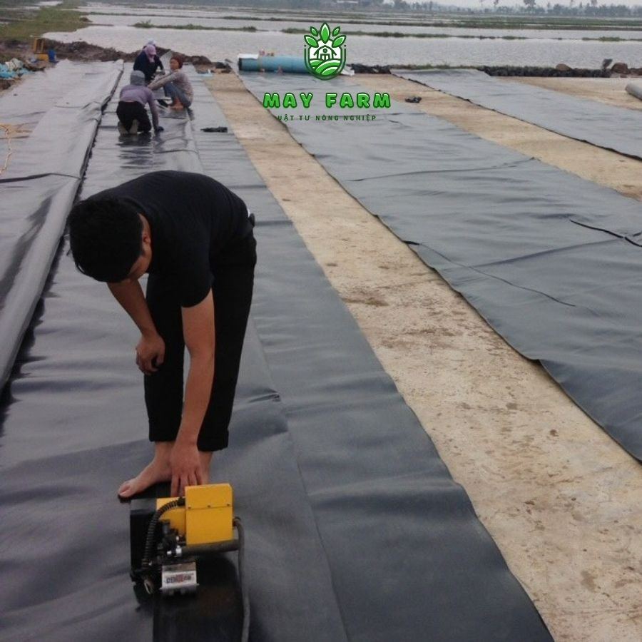 Bạt HDPE chống thấm sân thượng - Ảnh 4