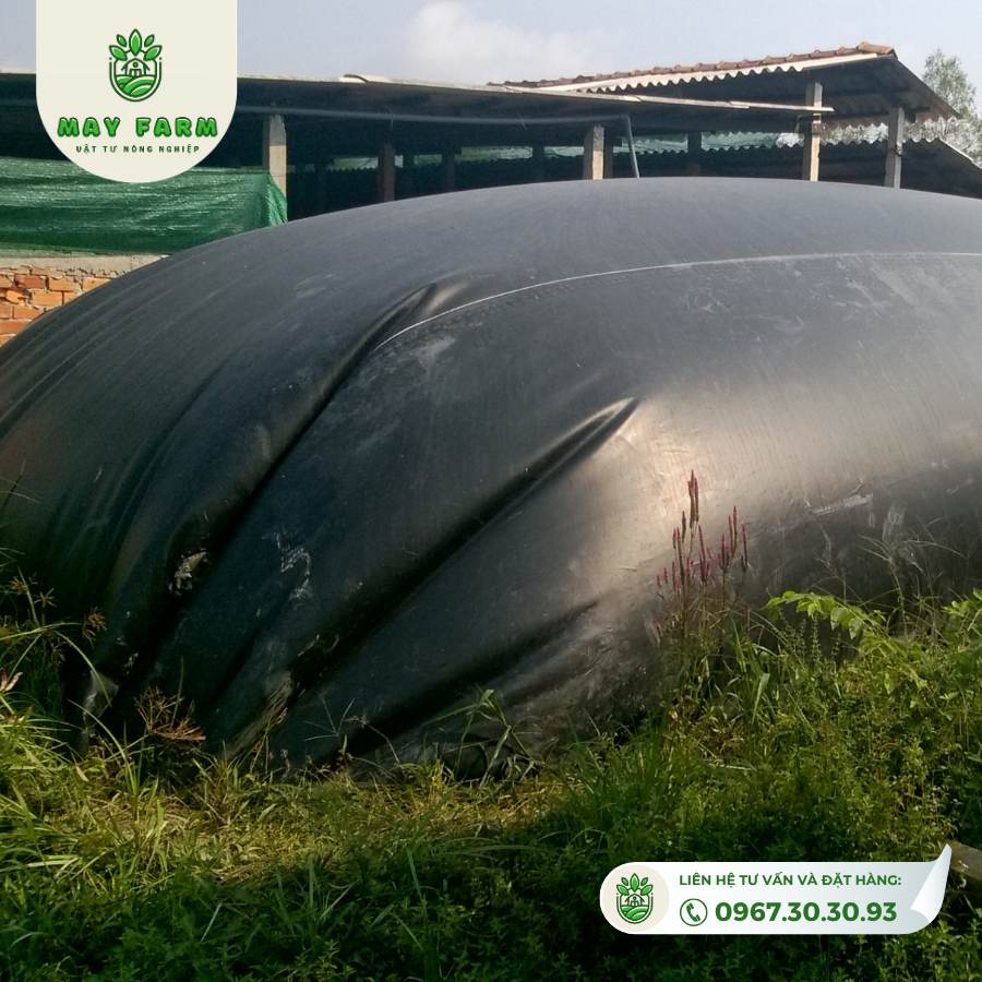 Túi Biogas HDPE 10 khối dày 1mm xử lý chất thải gà,lợn, vịt, Gia công theo yêu cầu - Ảnh 6