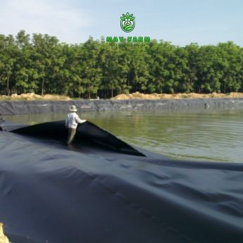 Bạt HDPE 2mm đủ kích thước, chất lượng - Ảnh 6