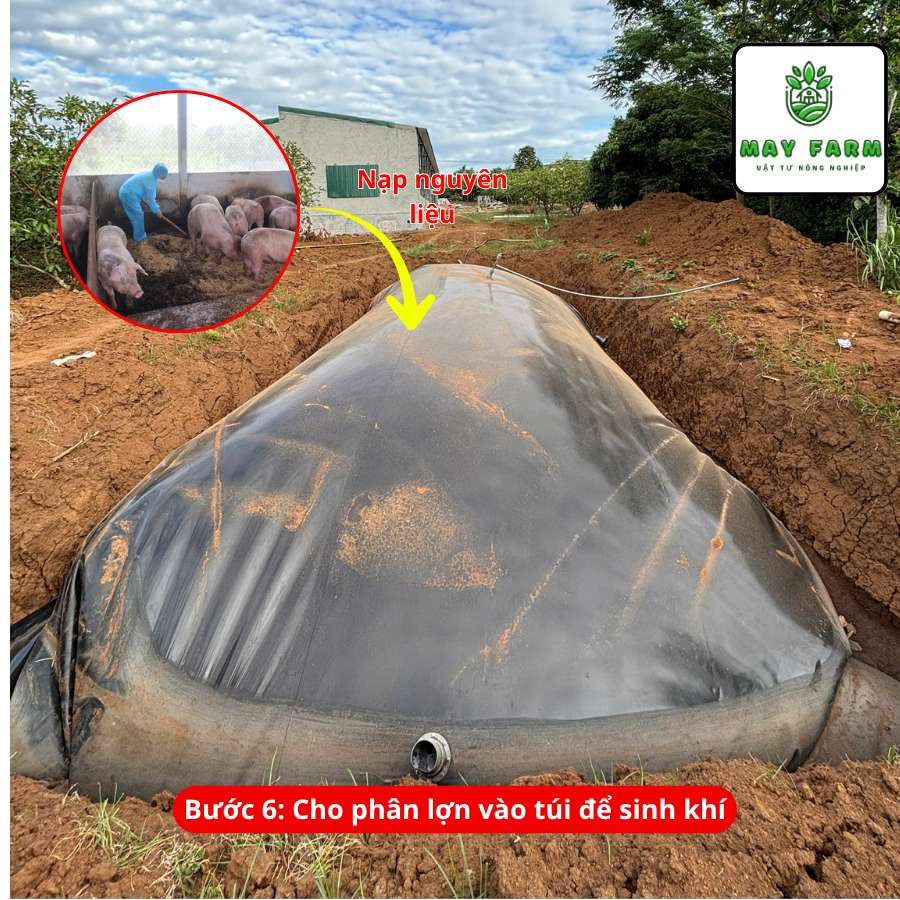 Nạp phân- lắp đặt túi biogas HDPE 10 khối