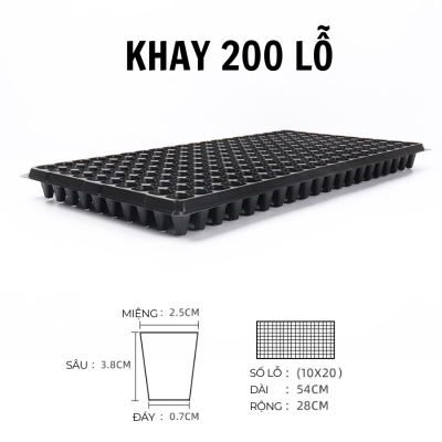 Khay ươm hạt giống 200 lỗ - hướng dẫn sử dụng hiệu quả - Ảnh 7