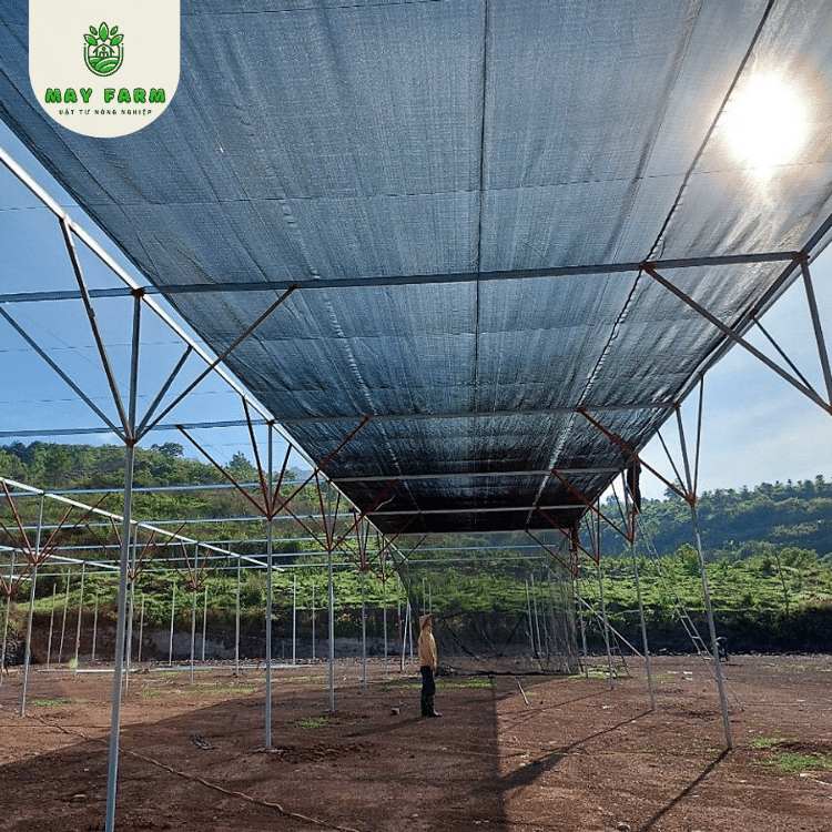 Lưới che nắng dệt phẳng Thái Lan 50% giá tốt May Farm - Ảnh 2
