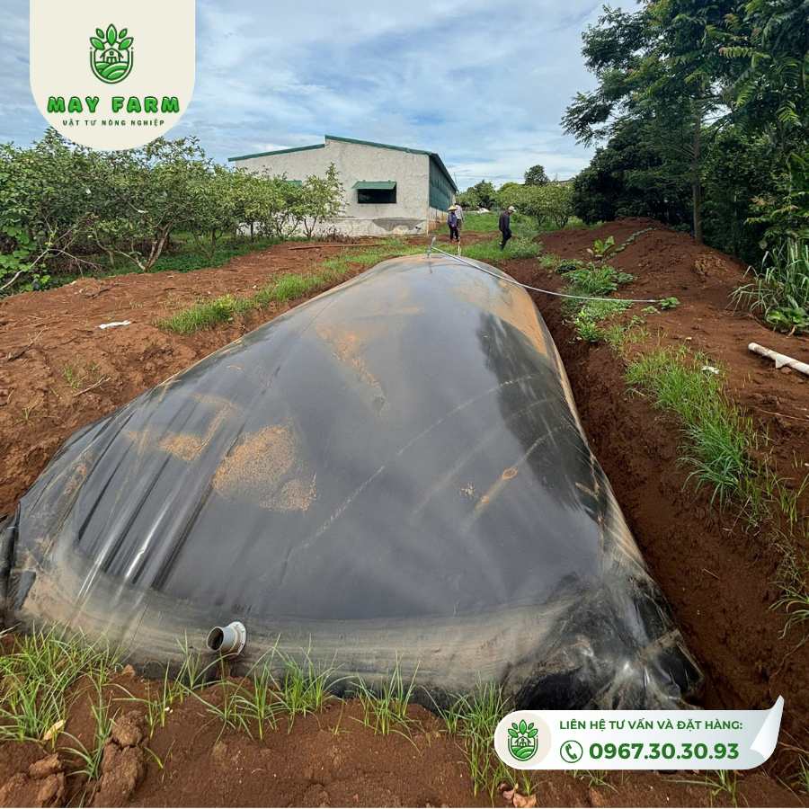 Túi Biogas hdpe 8 khối dày 1mm xử lý chất thải gà,lợn, vịt, Gia công theo yêu cầu - Ảnh 7