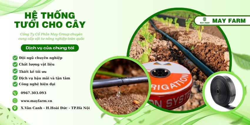 Hệ thống tưới cho cây