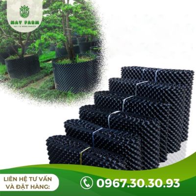 Bầu Ươm V7 Bán Lẻ Từ 1m Giá Tốt, Nhiều Kích Thước - Ảnh 3
