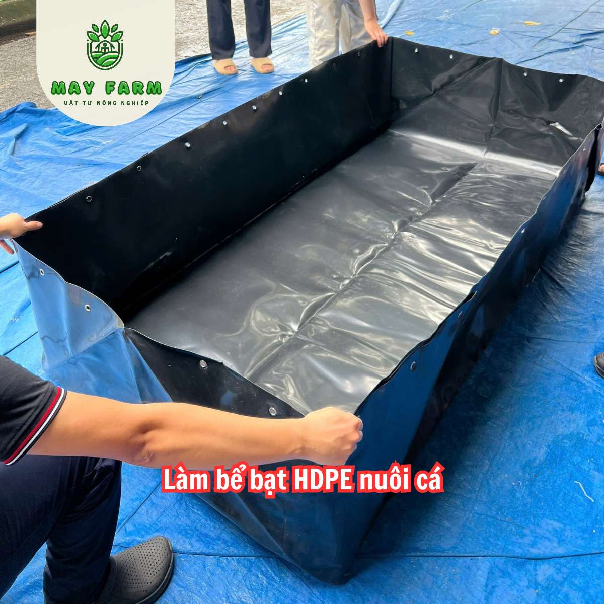  Làm bể bạt - Bạt hdpe 0,3mm, Bạt chống thấm hdpe, Bạt nuôi cá 