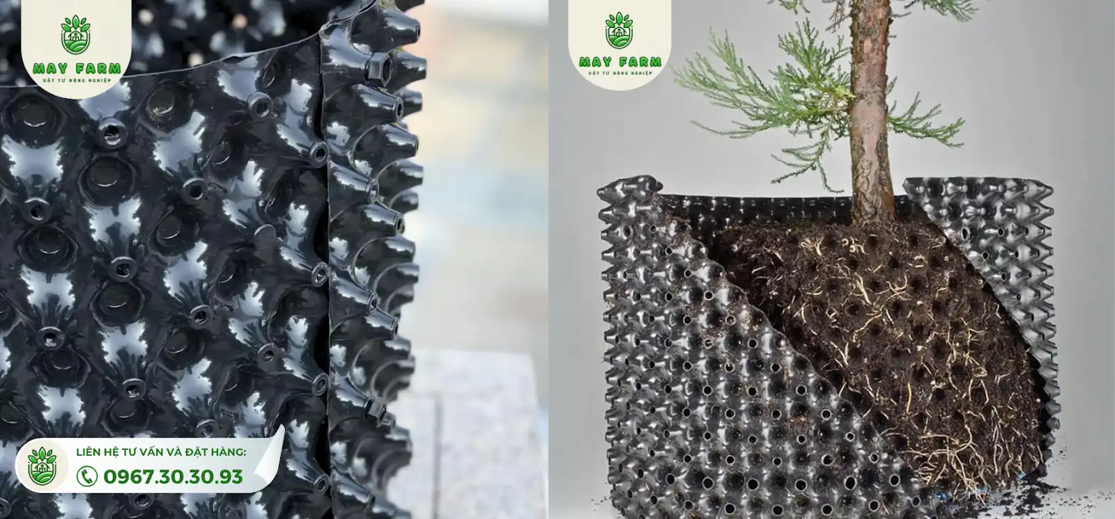chiều cao của bầu ươm là 40cm, là kích thước lý tưởng cho việc ươm trồng nhiều loại cây con