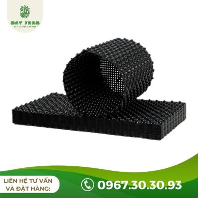 Bầu Ươm V6 Bán Lẻ Từ 1m Giá Tốt, Nhiều Kích Thước - Ảnh 6
