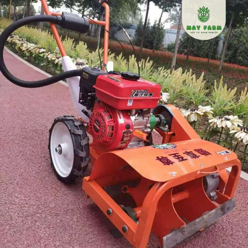Động cơ xăng 4 kỳ GAS-170F, Động cơ máy cày xới, bơm nước - Ảnh 5