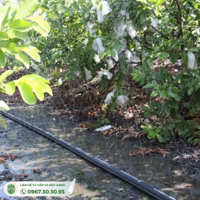 Hệ Thống Tưới Phun Mưa Chất Lượng Cao, Siêu Bền, Giá Tốt - Ảnh 4