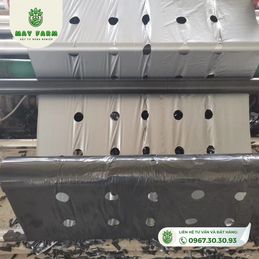 Màng phủ nông nghiệp 20 Mic - Ảnh 2